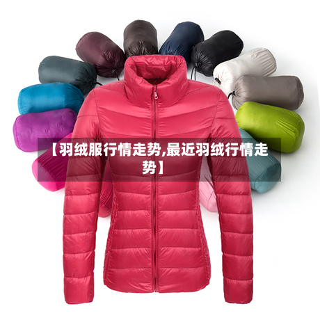 【羽绒服行情走势,最近羽绒行情走势】-第3张图片