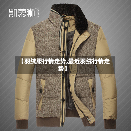 【羽绒服行情走势,最近羽绒行情走势】-第2张图片