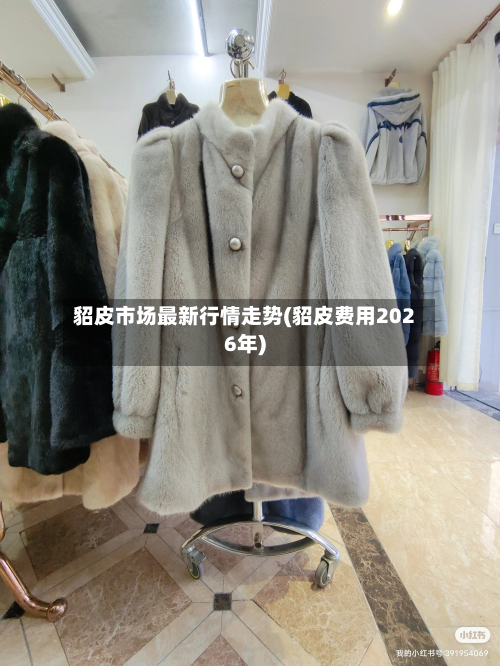 貂皮市场最新行情走势(貂皮费用2026年)-第3张图片