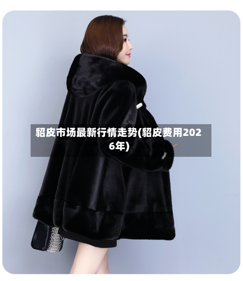 貂皮市场最新行情走势(貂皮费用2026年)-第2张图片