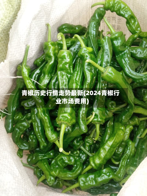 青椒历史行情走势最新(2024青椒行业市场费用)