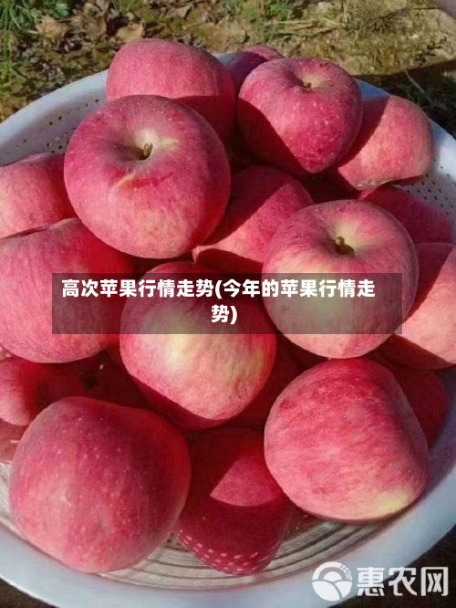 高次苹果行情走势(今年的苹果行情走势)-第2张图片