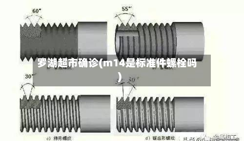 罗湖超市确诊(m14是标准件螺栓吗)