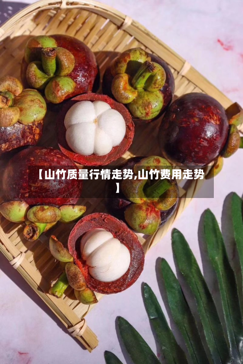 【山竹质量行情走势,山竹费用走势】