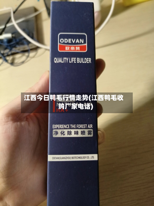 江西今日鸭毛行情走势(江西鸭毛收购厂家电话)