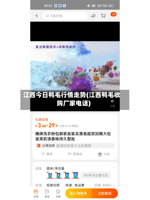 江西今日鸭毛行情走势(江西鸭毛收购厂家电话)-第2张图片