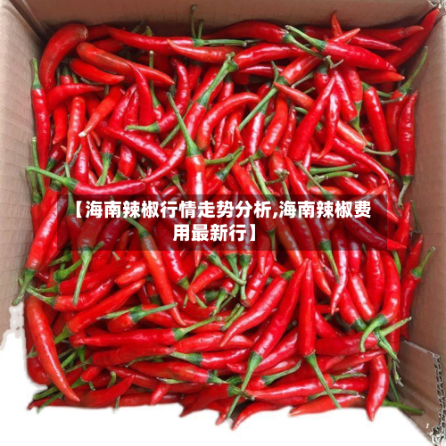 【海南辣椒行情走势分析,海南辣椒费用最新行】