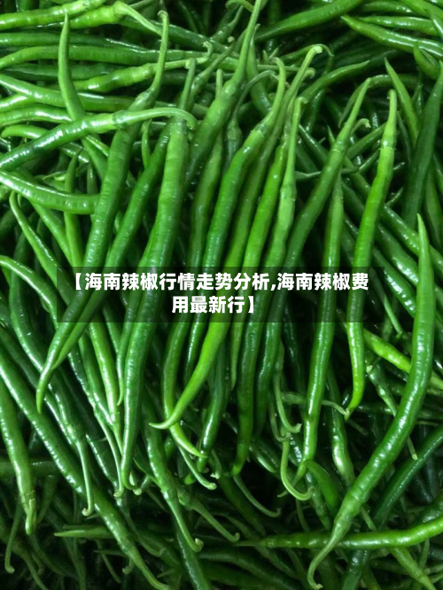 【海南辣椒行情走势分析,海南辣椒费用最新行】-第3张图片