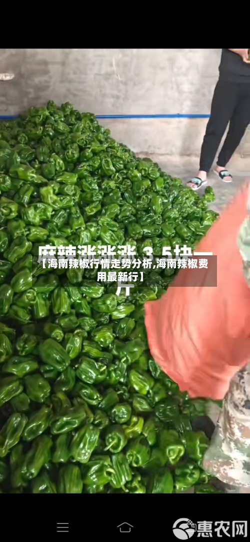 【海南辣椒行情走势分析,海南辣椒费用最新行】-第2张图片