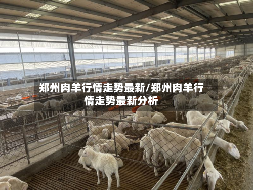 郑州肉羊行情走势最新/郑州肉羊行情走势最新分析