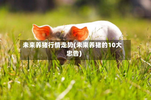 未来养猪行情走势(未来养猪的10大忠告)