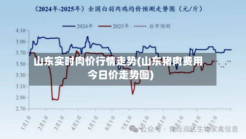 山东实时肉价行情走势(山东猪肉费用今日价走势图)