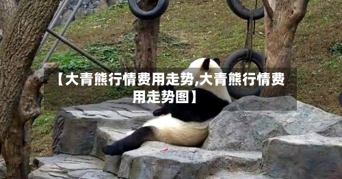 【大青熊行情费用走势,大青熊行情费用走势图】-第2张图片
