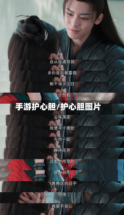 手游护心胆/护心胆图片-第2张图片