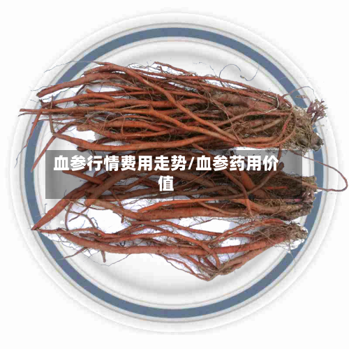 血参行情费用走势/血参药用价值-第2张图片
