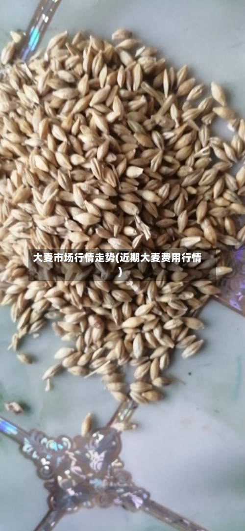 大麦市场行情走势(近期大麦费用行情)-第3张图片