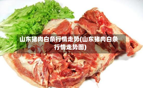 山东猪肉白条行情走势(山东猪肉白条行情走势图)