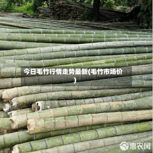 今日毛竹行情走势最新(毛竹市场价)-第2张图片