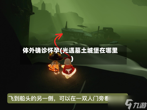 体外确诊怀孕(光遇墓土城堡在哪里)-第3张图片