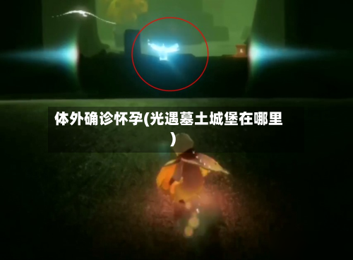 体外确诊怀孕(光遇墓土城堡在哪里)-第2张图片