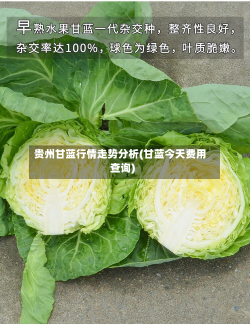 贵州甘蓝行情走势分析(甘蓝今天费用查询)