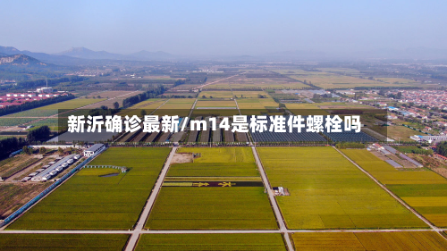 新沂确诊最新/m14是标准件螺栓吗-第3张图片