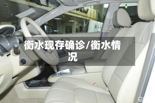 衡水现存确诊/衡水情况