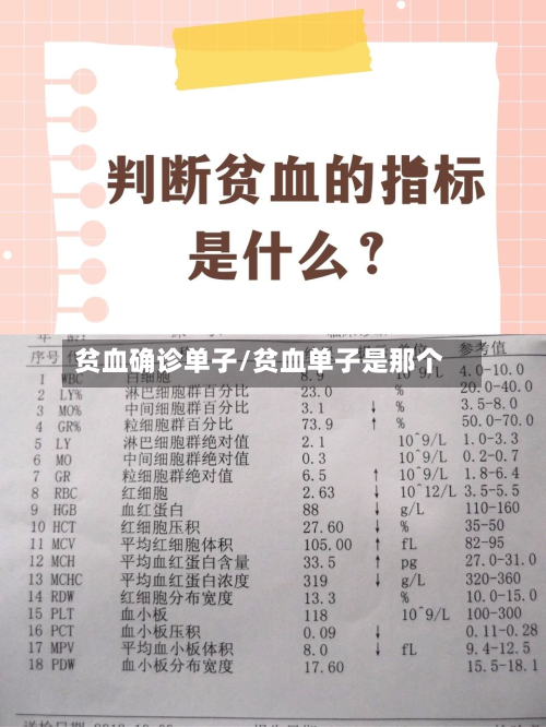 贫血确诊单子/贫血单子是那个-第2张图片