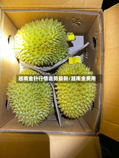 越南金针行情走势最新/越南金费用