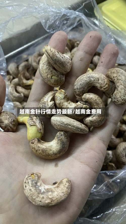 越南金针行情走势最新/越南金费用-第2张图片