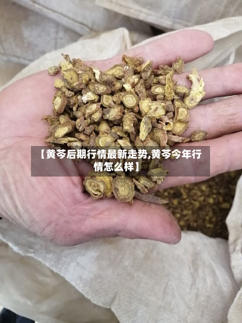 【黄芩后期行情最新走势,黄芩今年行情怎么样】-第2张图片