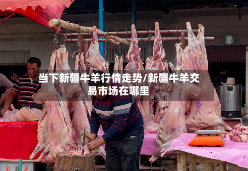 当下新疆牛羊行情走势/新疆牛羊交易市场在哪里-第2张图片