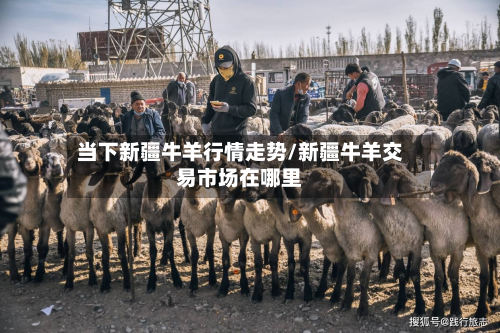 当下新疆牛羊行情走势/新疆牛羊交易市场在哪里