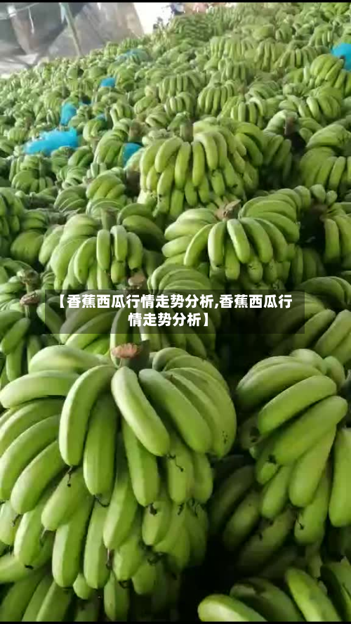 【香蕉西瓜行情走势分析,香蕉西瓜行情走势分析】