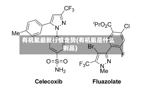有机氟最新行情走势(有机氟是什么制品)-第2张图片