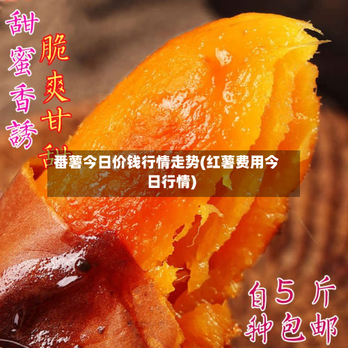 番薯今日价钱行情走势(红薯费用今日行情)