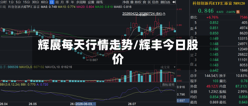 辉展每天行情走势/辉丰今日股价