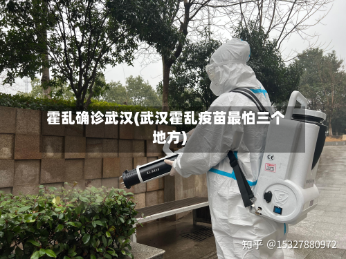霍乱确诊武汉(武汉霍乱疫苗最怕三个地方)