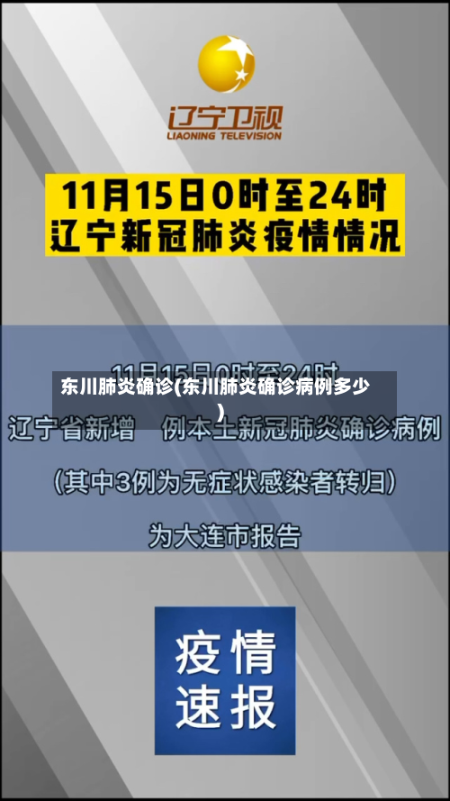 东川肺炎确诊(东川肺炎确诊病例多少)-第3张图片