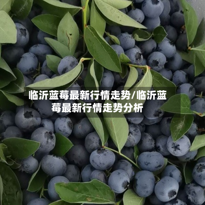 临沂蓝莓最新行情走势/临沂蓝莓最新行情走势分析