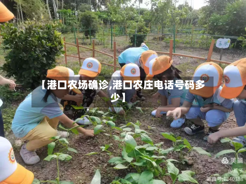 【港口农场确诊,港口农庄电话号码多少】-第2张图片
