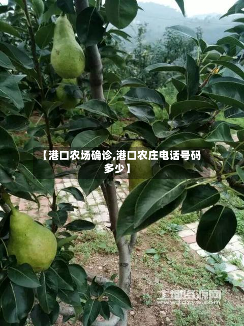 【港口农场确诊,港口农庄电话号码多少】