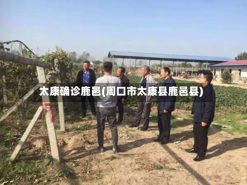 太康确诊鹿邑(周口市太康县鹿邑县)-第2张图片