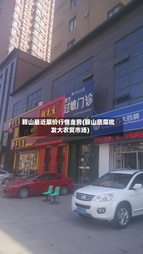 鞍山最近菜价行情走势(鞍山蔬菜批发大农贸市场)-第3张图片