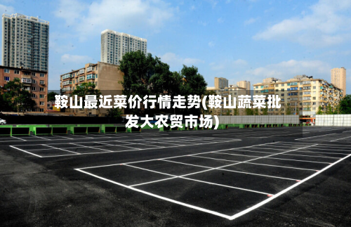 鞍山最近菜价行情走势(鞍山蔬菜批发大农贸市场)