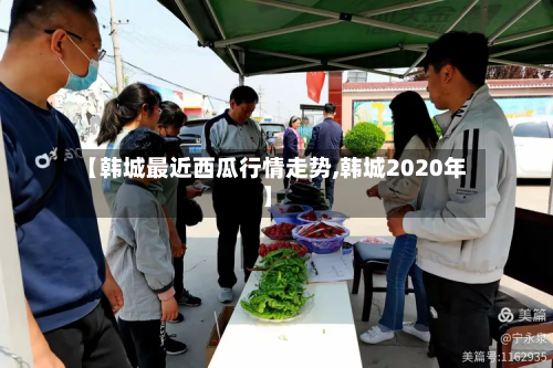 【韩城最近西瓜行情走势,韩城2020年】