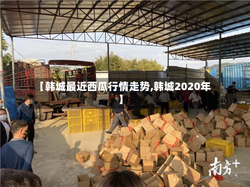 【韩城最近西瓜行情走势,韩城2020年】-第2张图片