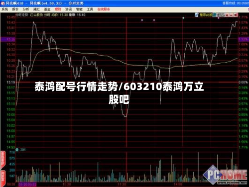 泰鸿配号行情走势/603210泰鸿万立股吧