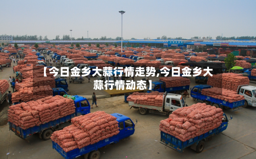 【今日金乡大蒜行情走势,今日金乡大蒜行情动态】