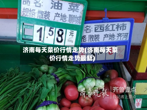 济南每天菜价行情走势(济南每天菜价行情走势最新)